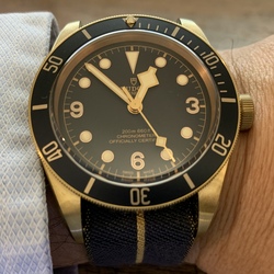 RMさんのチューダー ブラックベイ 79250BB