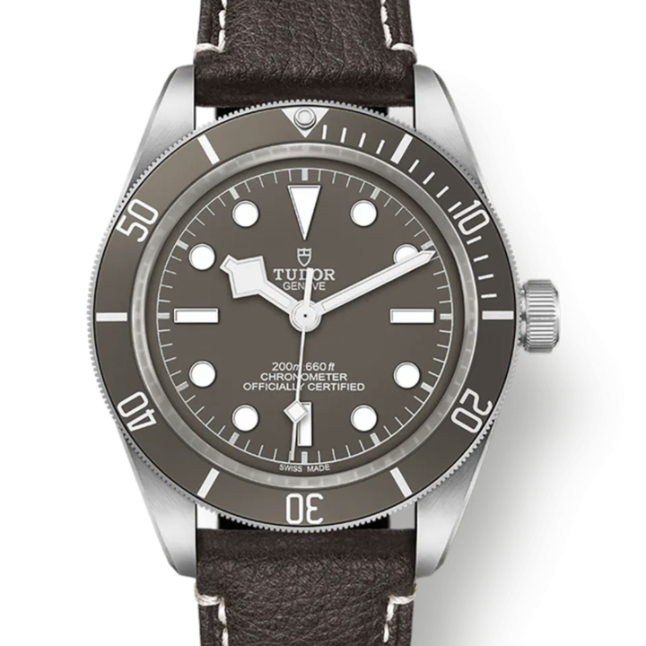 RMさんのチューダー ブラックベイ M79010SG-0001