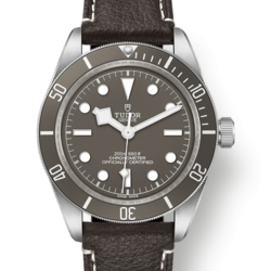 RMさんのチューダー ブラックベイ M79010SG-0001